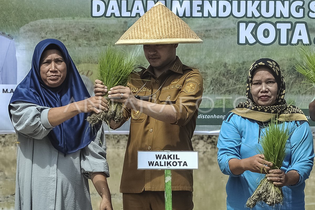 Farming movements in Jambi