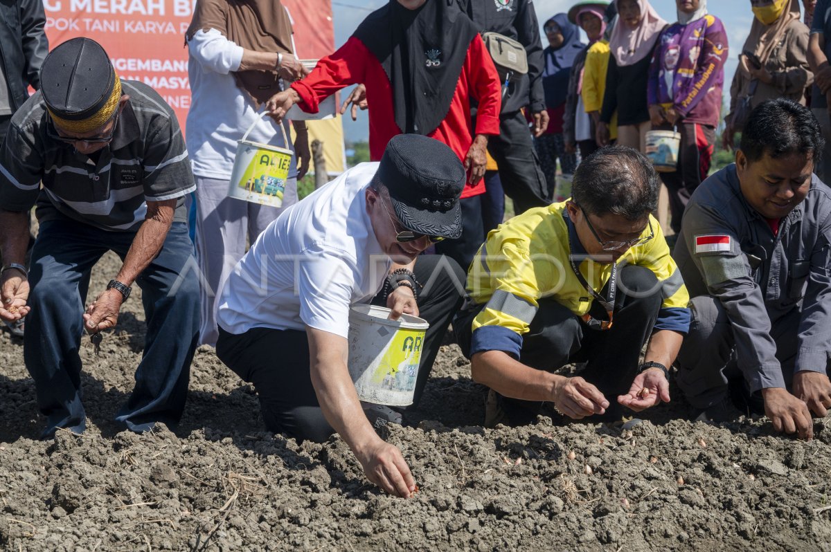 Empowerment of quarrel people in Palu