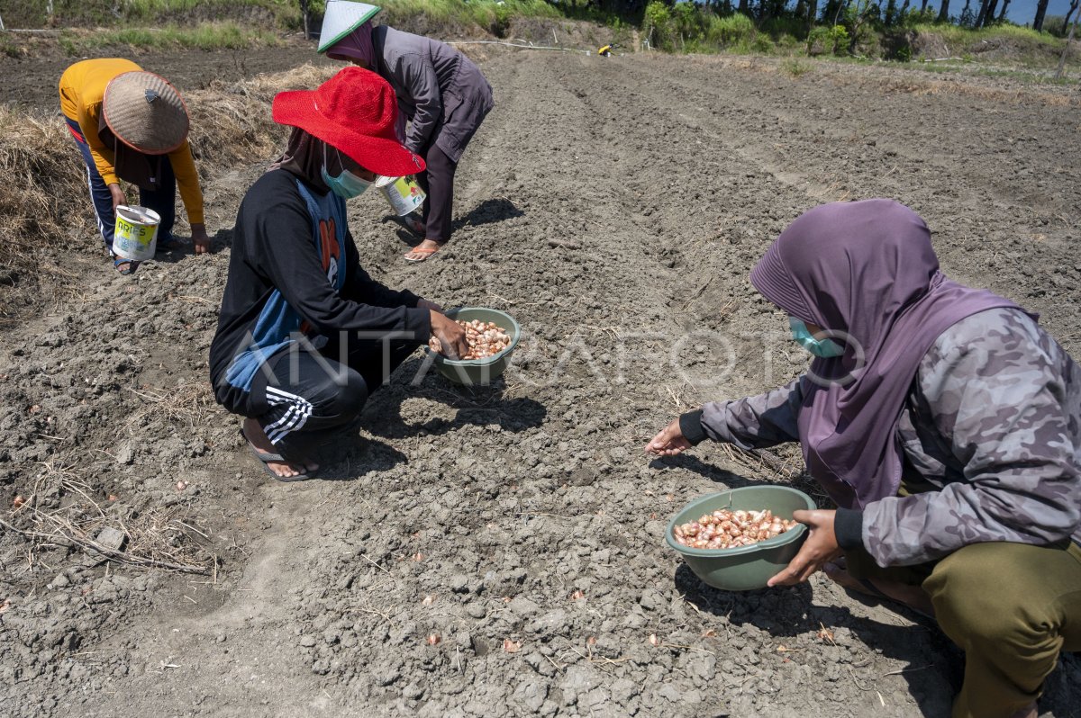 Empowerment of quarrel people in Palu