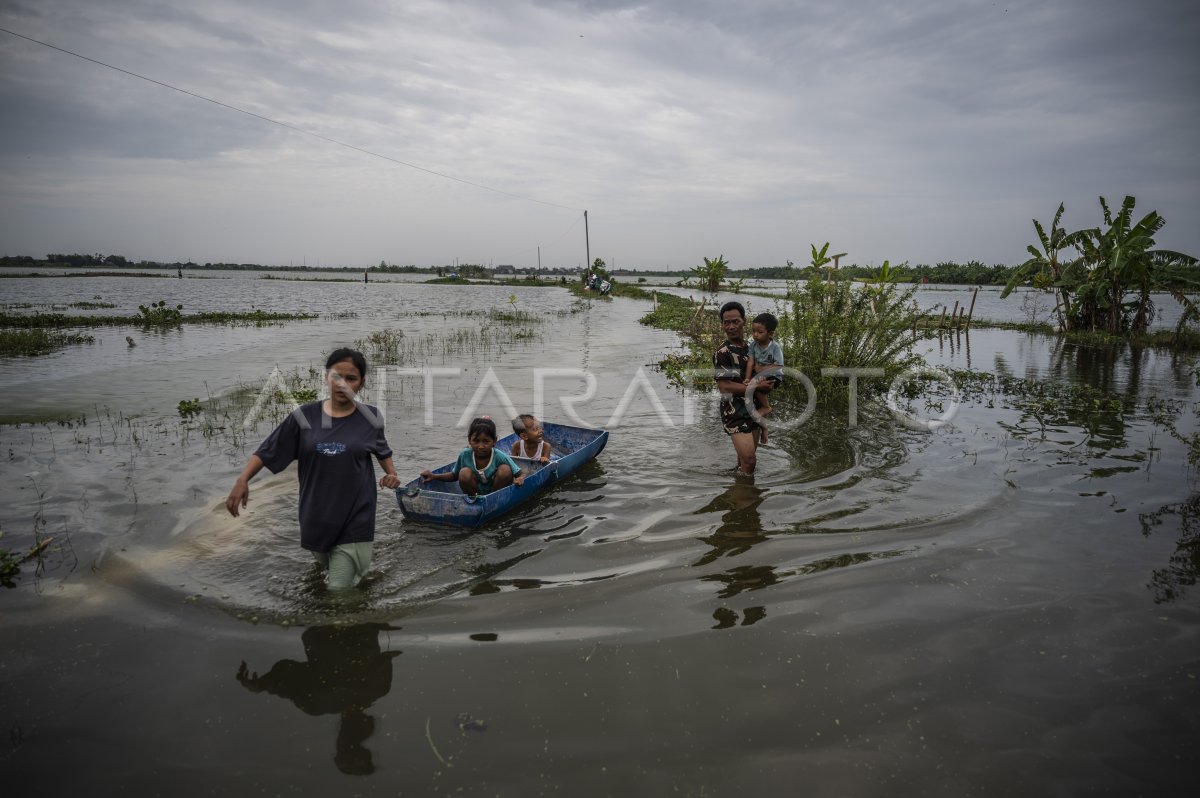 Flood due to tanggul River Tuntang Demak snaps