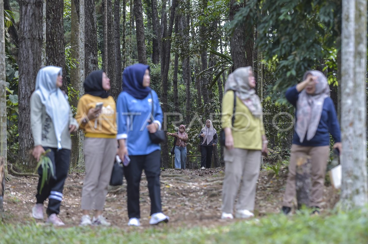 Superior educational attractions in Jambi