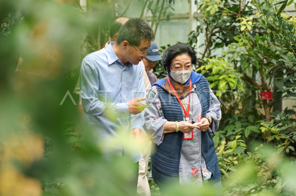 Megawati Soekarnoputri kunjungi Yunnan China