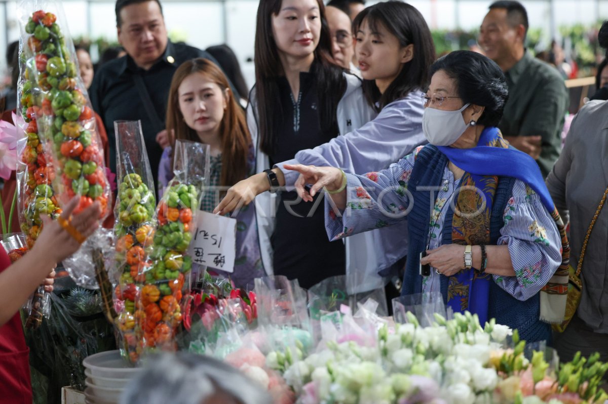 Megawati Soekarnoputri kunjungi Yunnan China