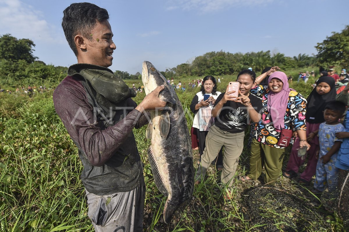 Pelestarian tradisi bekarang di Muaro Jambi