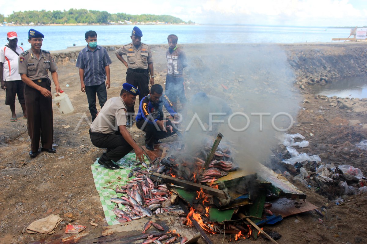 PEMUSNAHAN BARANG BUKTI BOM IKAN
