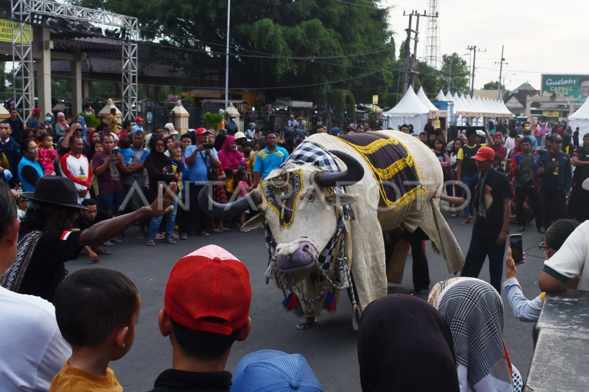 Kesenian tradisional kebo-keboan di Ponorogo