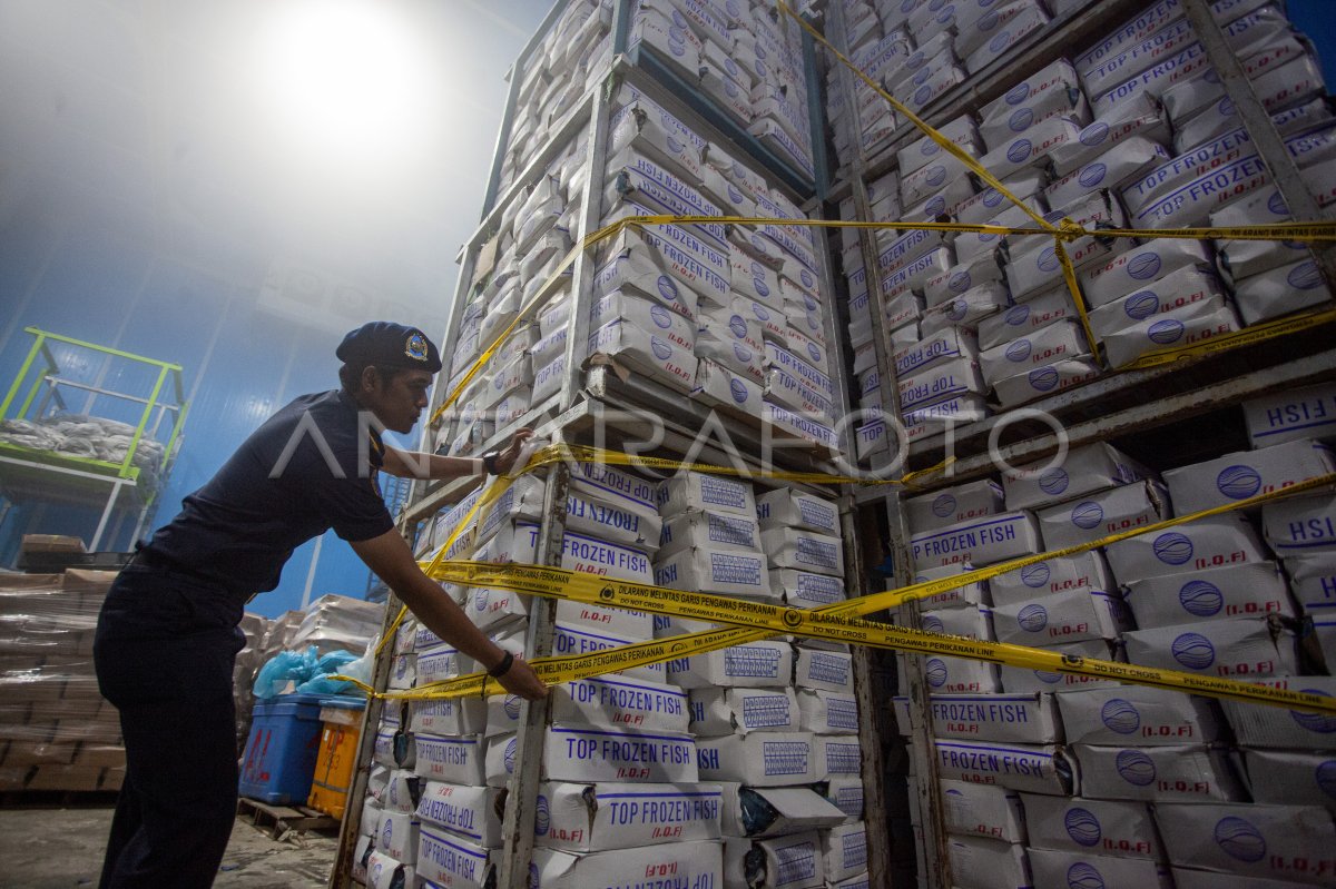 KKP stop penjualan 20 ton ikan impor di Batam