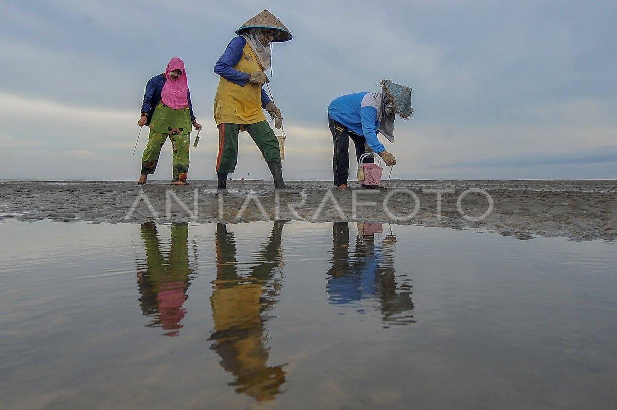 The wicked search in Marine Village