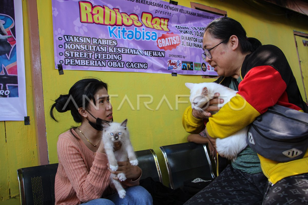 Vaksinasi rabies gratis di Makassar
