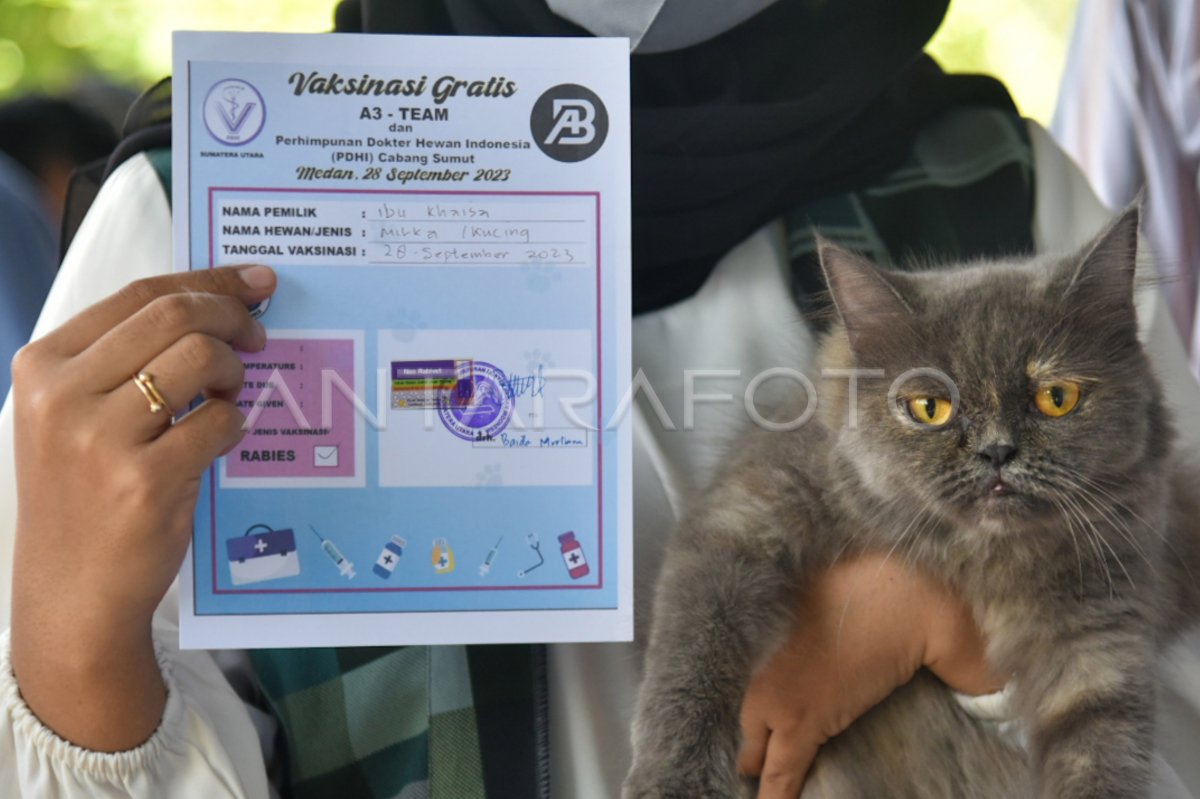 Free rabies vaccination in Medan