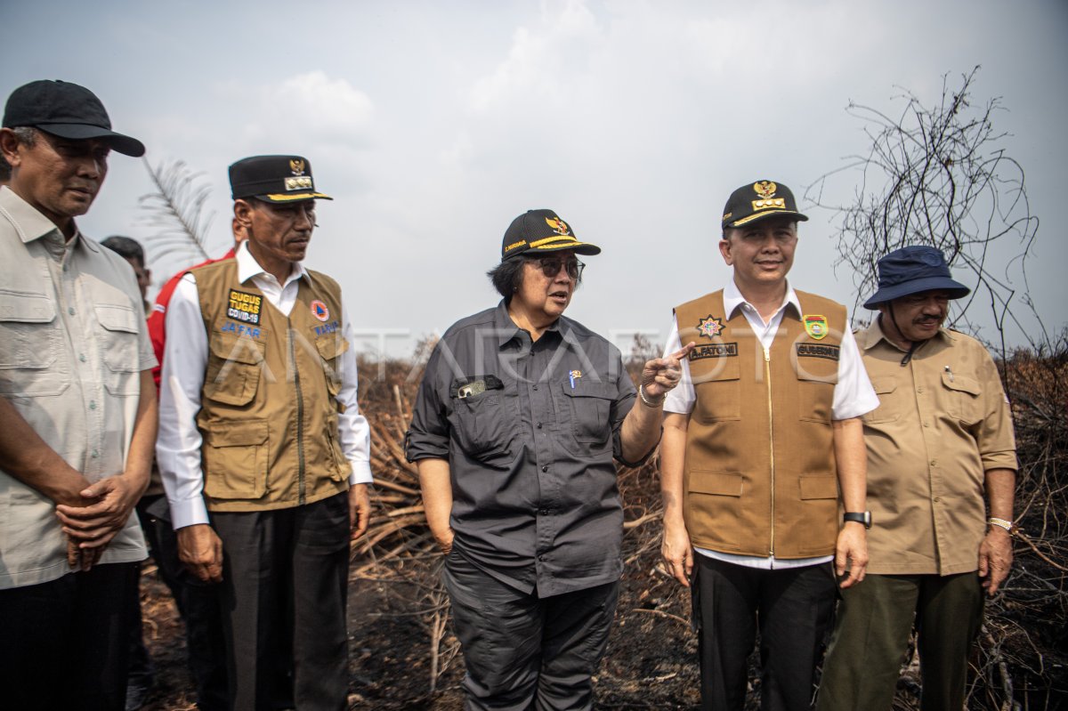 Minister of LHK reviewed fire fighting peatland in Jungkal