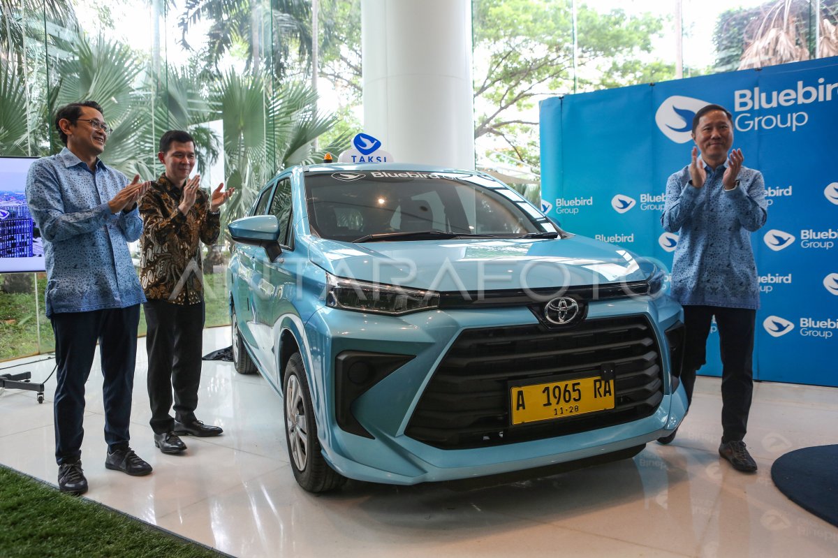 Chukchi tundrasida jinsiy aloqa