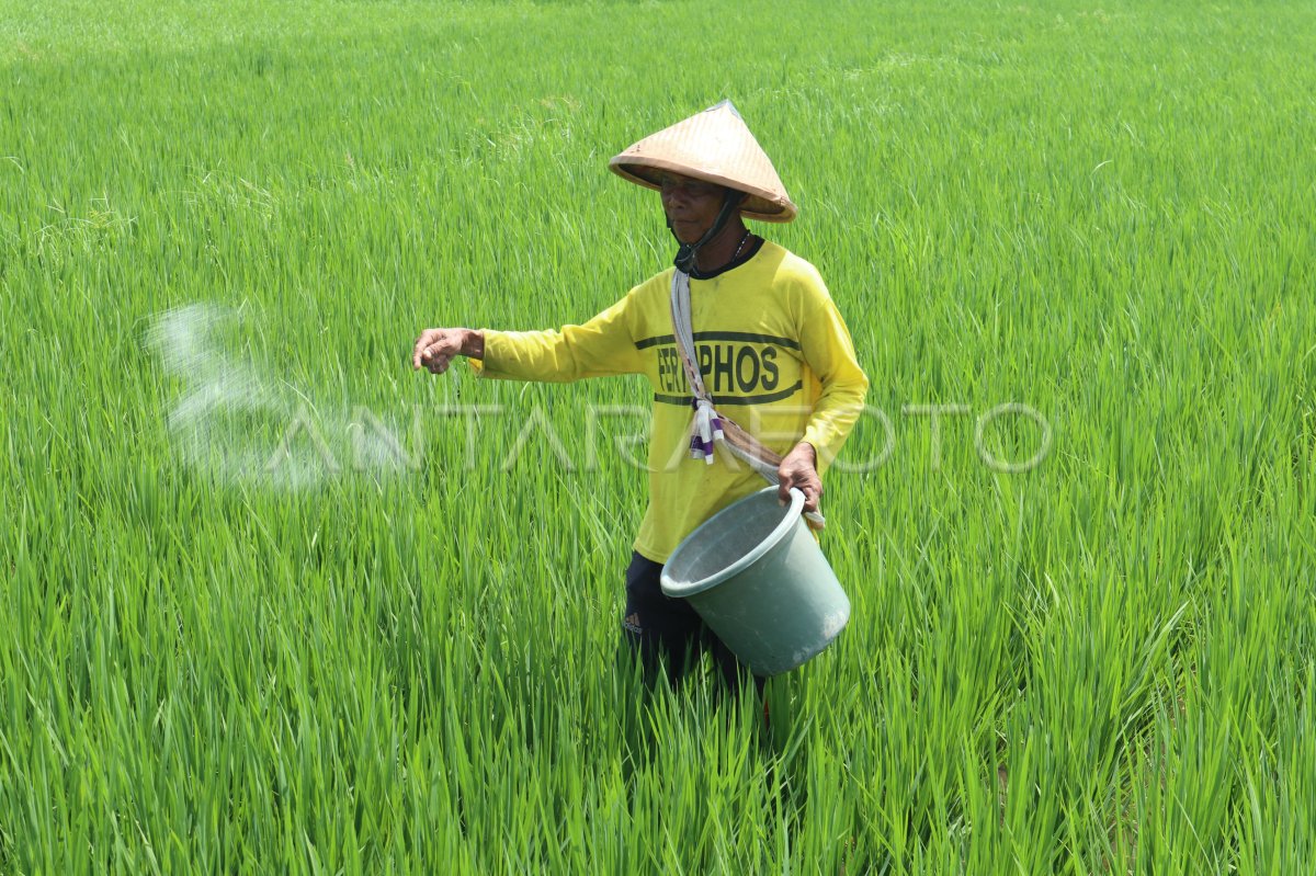 Penambahan anggaran untuk pupuk bersubsidi