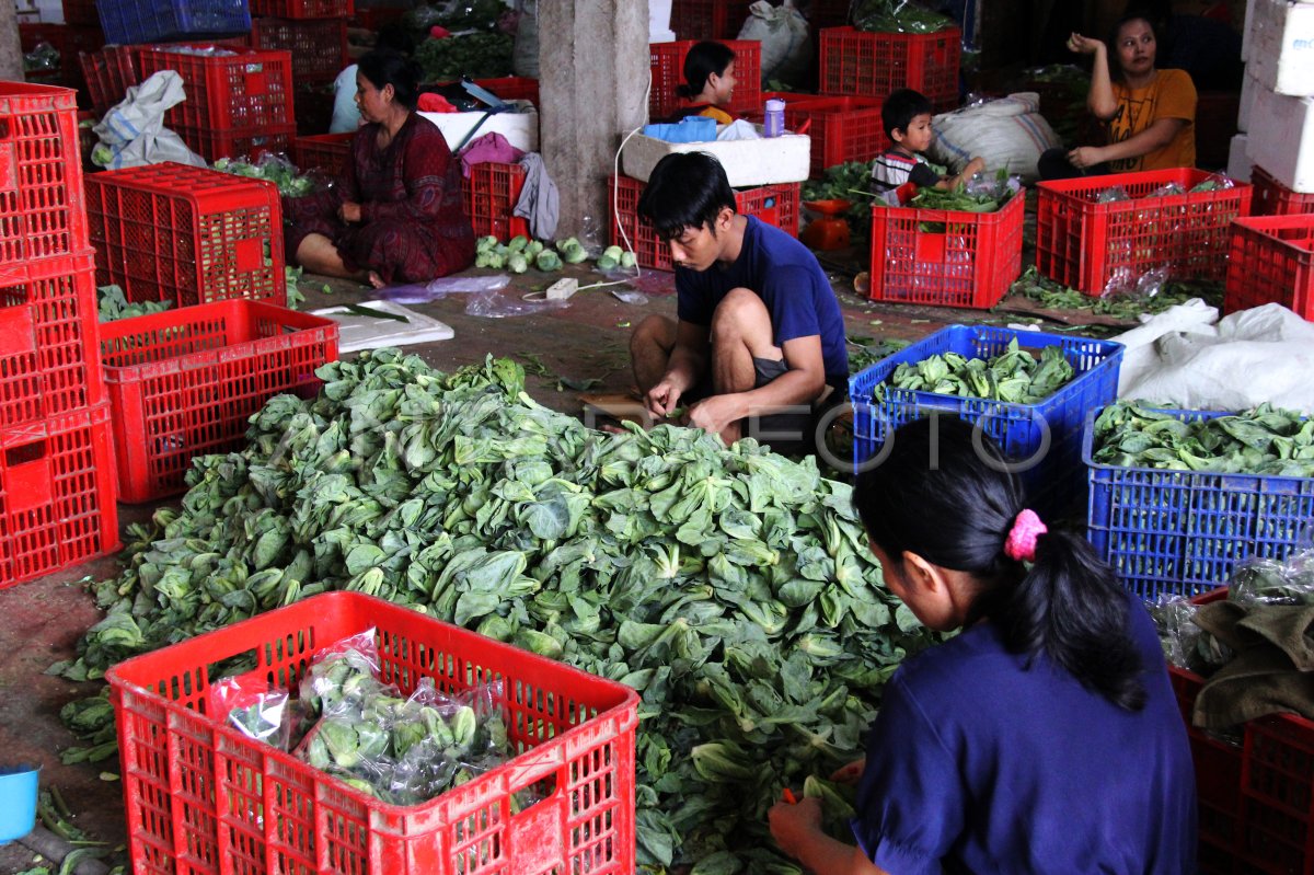 Ekspor sayur lewat Dumai pascalibur Lebaran