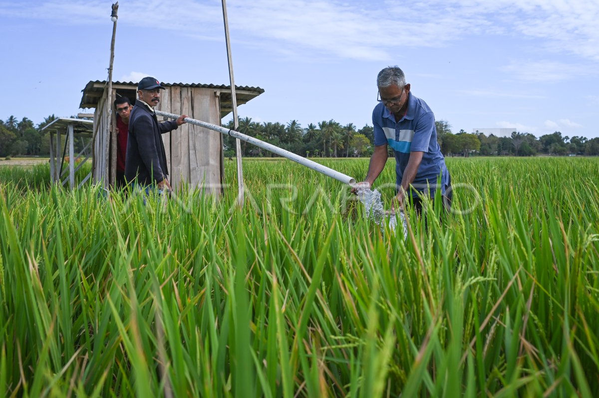 PLTS untuk pompa irigasi pertanian di Kupang