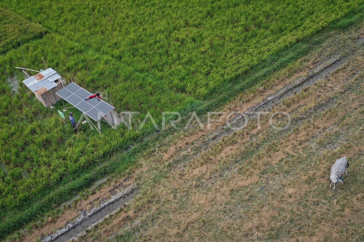 PLTS untuk pompa irigasi pertanian di Kupang
