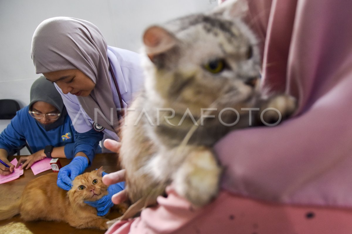 Vaksin rabies gratis untuk hewan peliharaan di Tasikmalaya