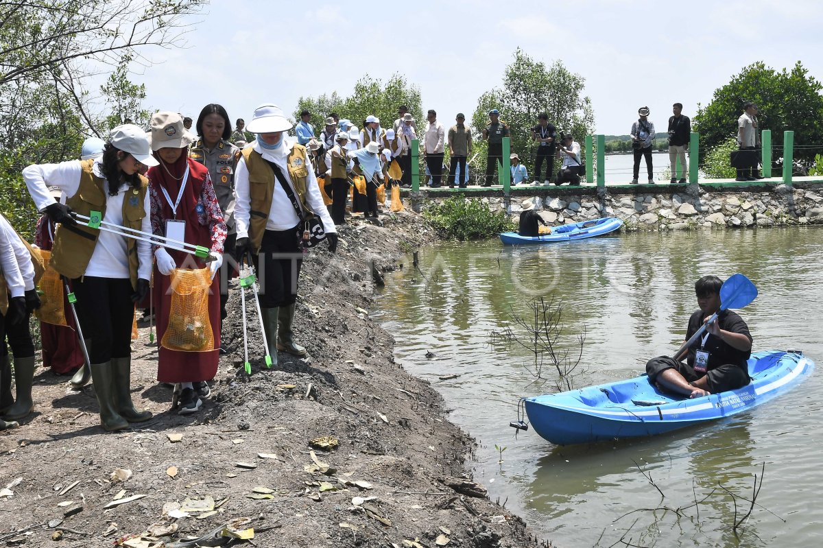 Selvi Gibran Rakabuming meninjau aksi bersih sampah