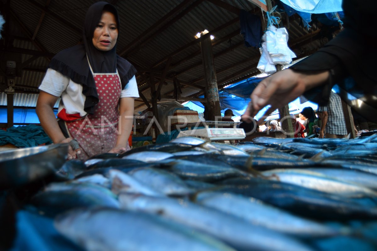 Harga ikan naik akibat cuaca buruk di Padang