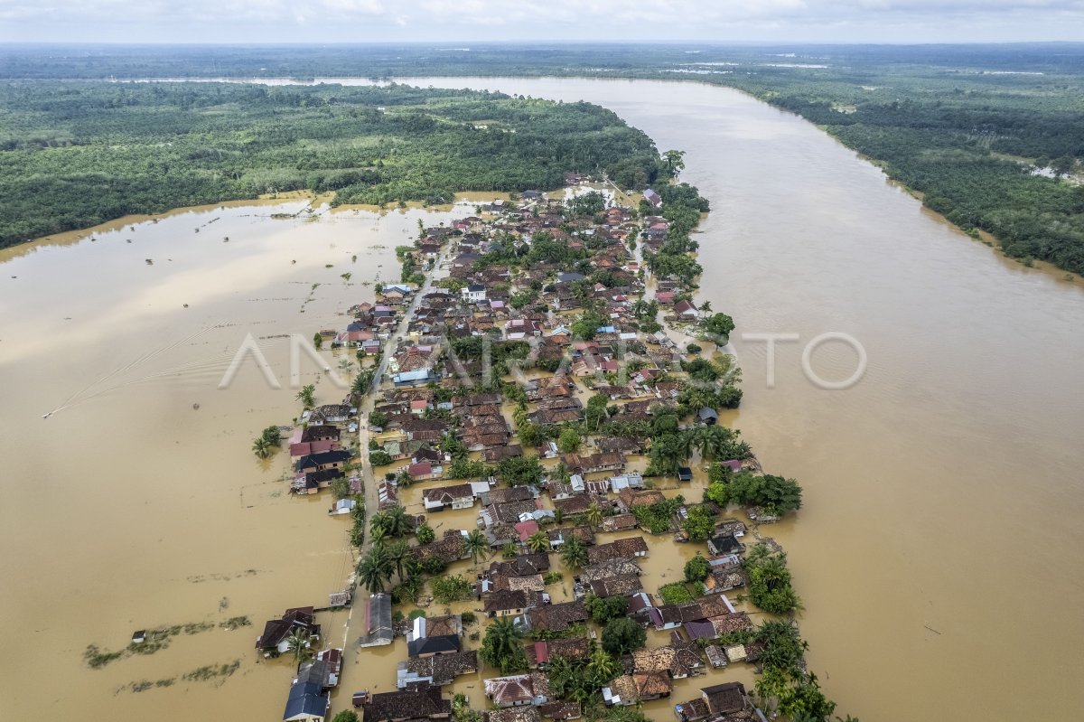 Impact of Daily River River in Jambi