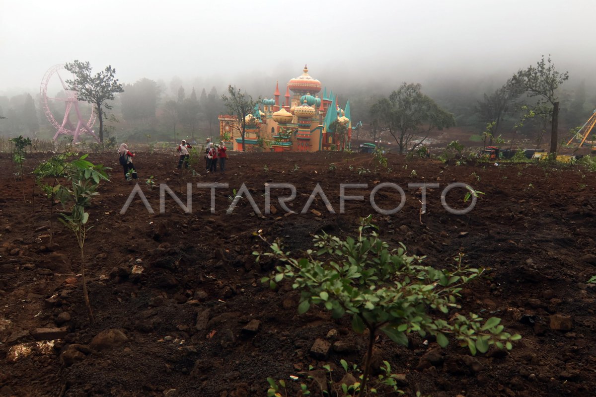 Penanaman pohon di kawasan Hibisc Fantasy Puncak Bogor