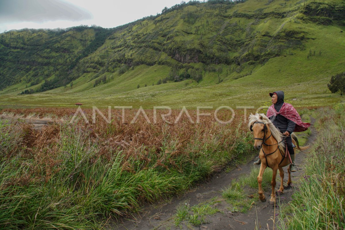 Penutupan sementara kunjungan wisata di Gunung Bromo