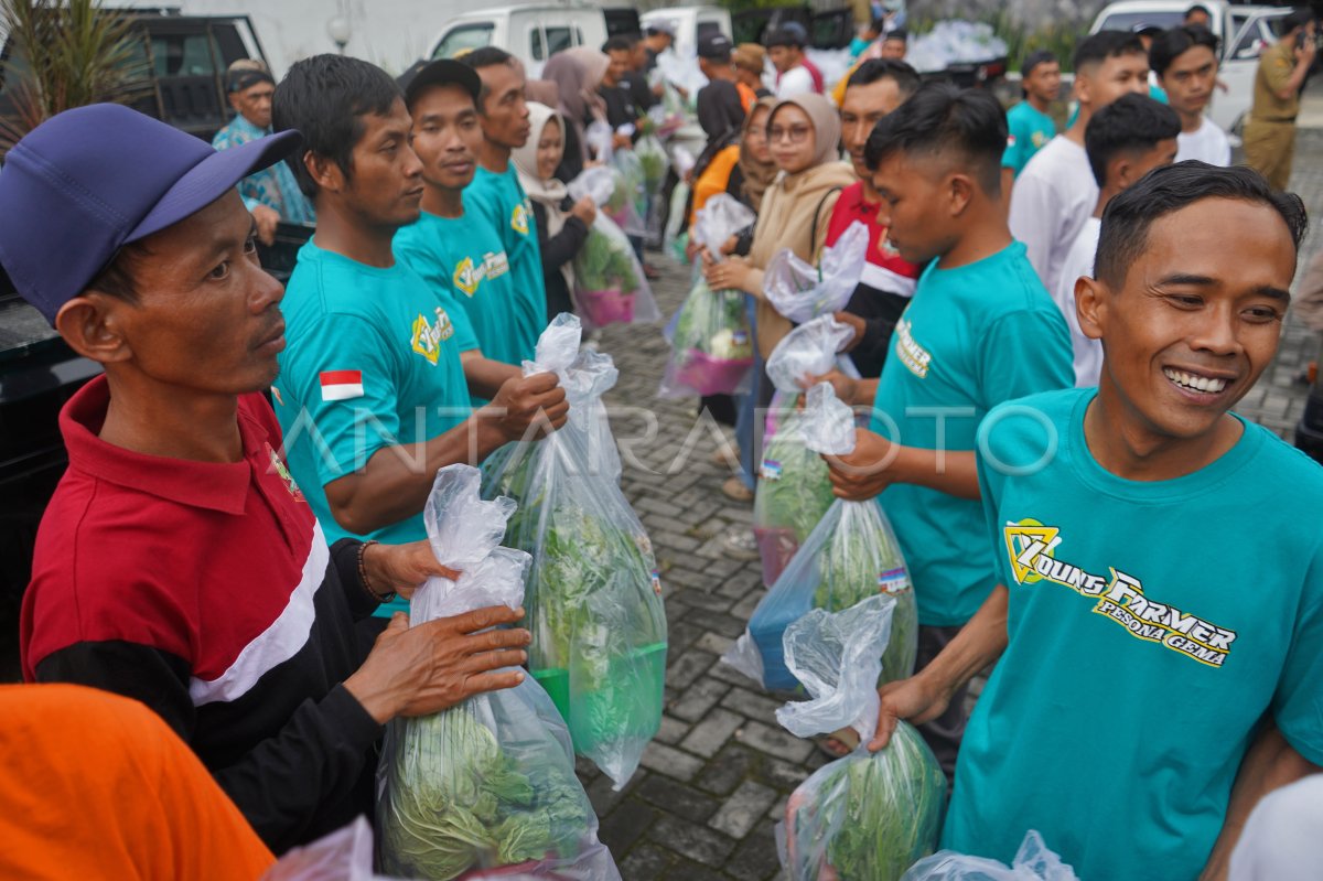 Petani muda bagikan ribuan paket sayur