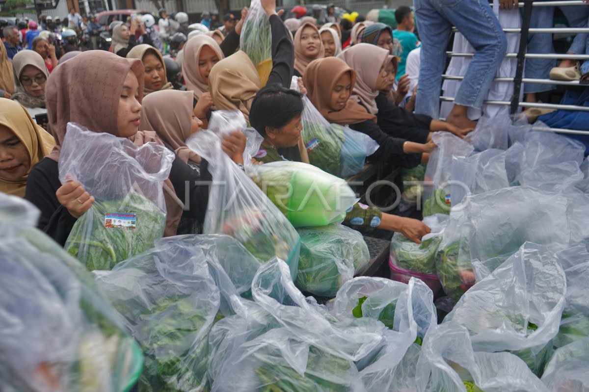 Petani muda bagikan ribuan paket sayur