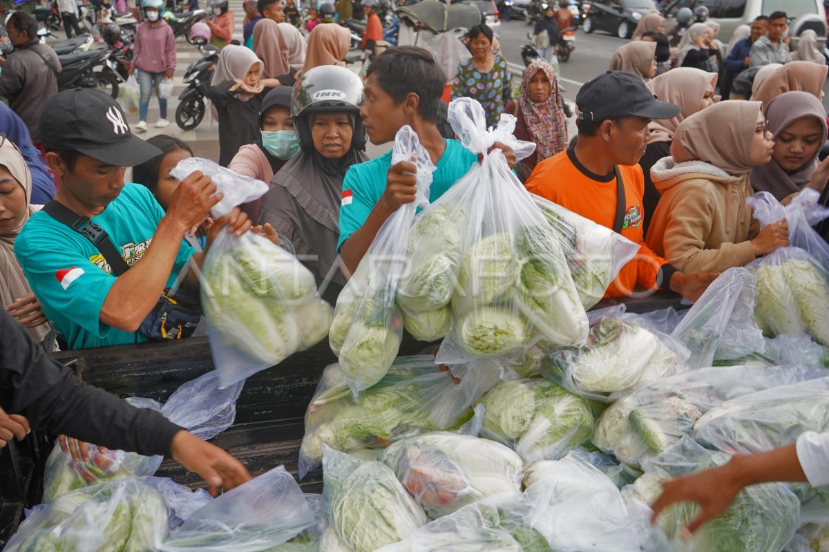 Petani muda bagikan ribuan paket sayur