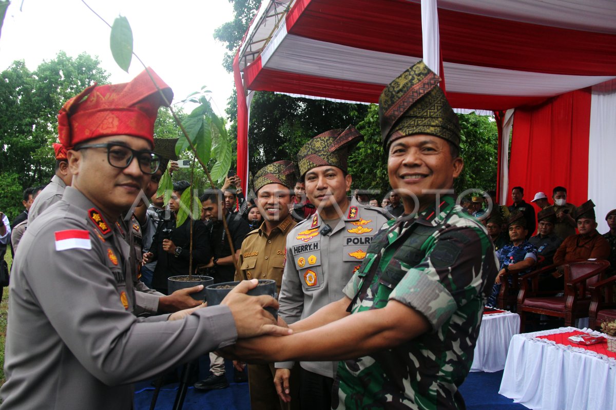 Penghijauan lahan kritis di Dumai