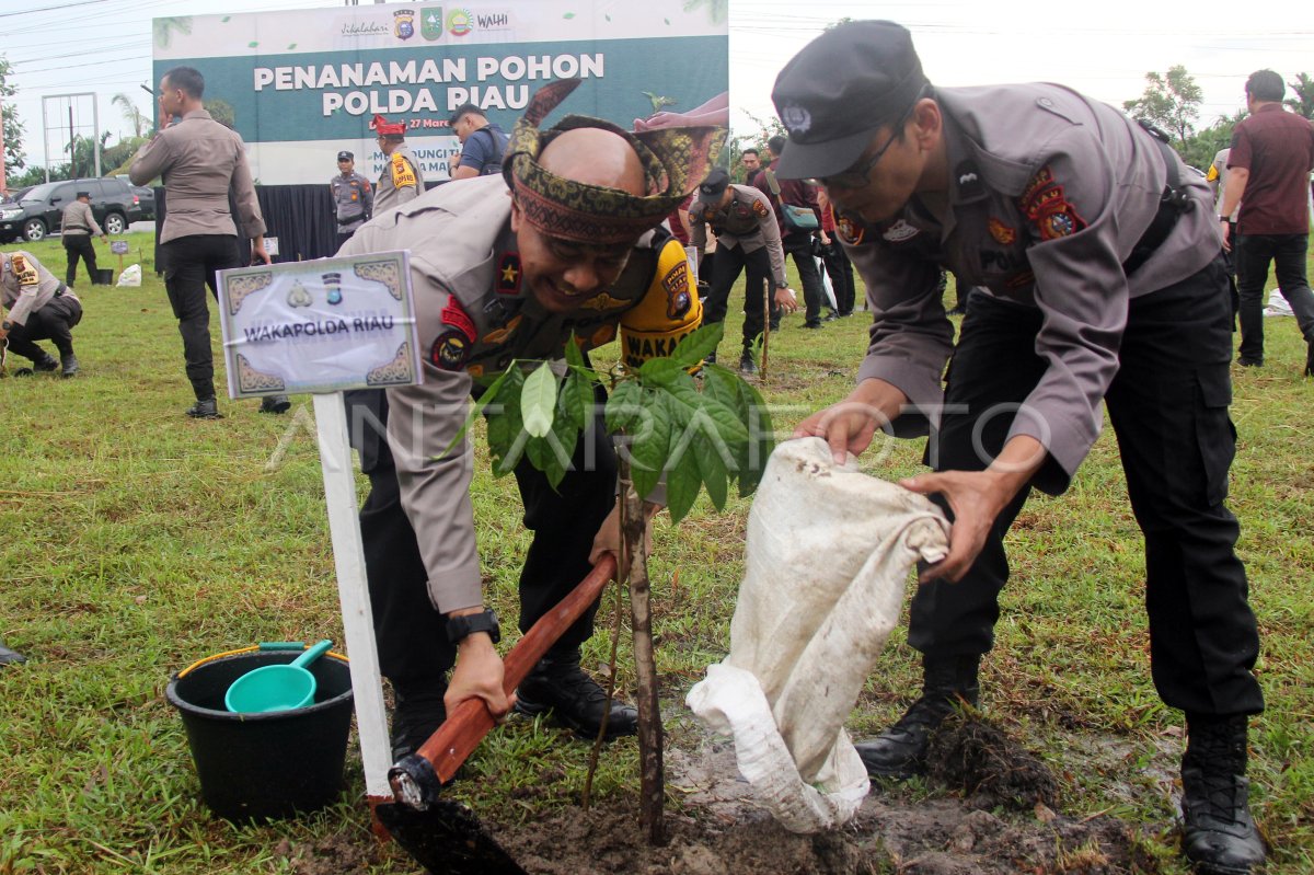 Penghijauan lahan kritis di Dumai