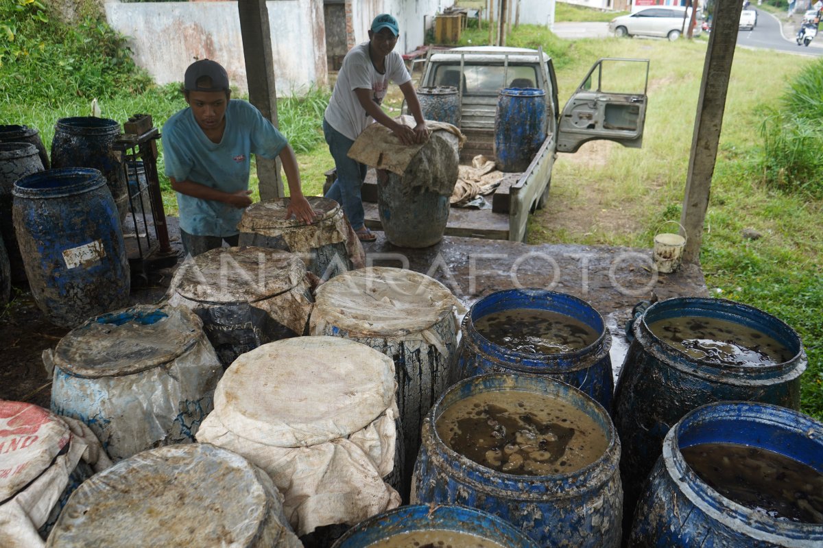 Produksi getah pinus Perhutani