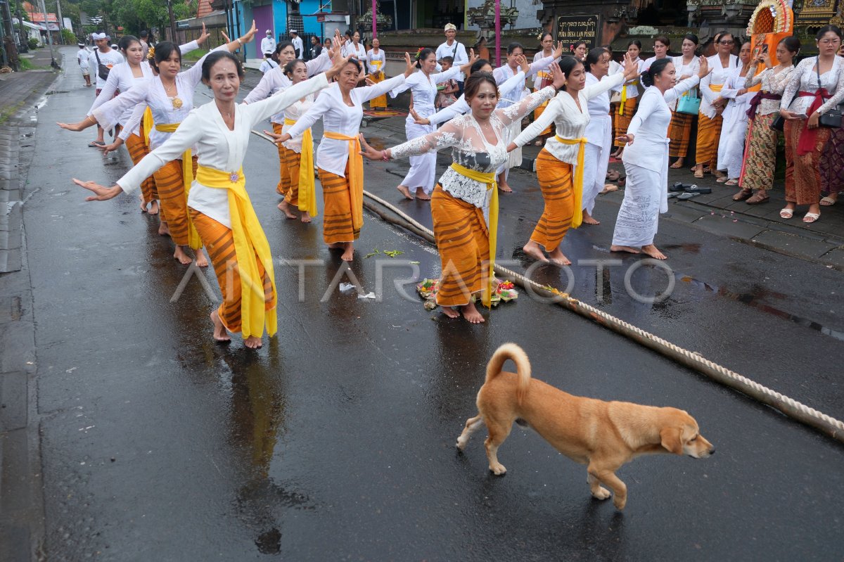 Tradisi Mbed-Mbedan di Desa Semate Bali