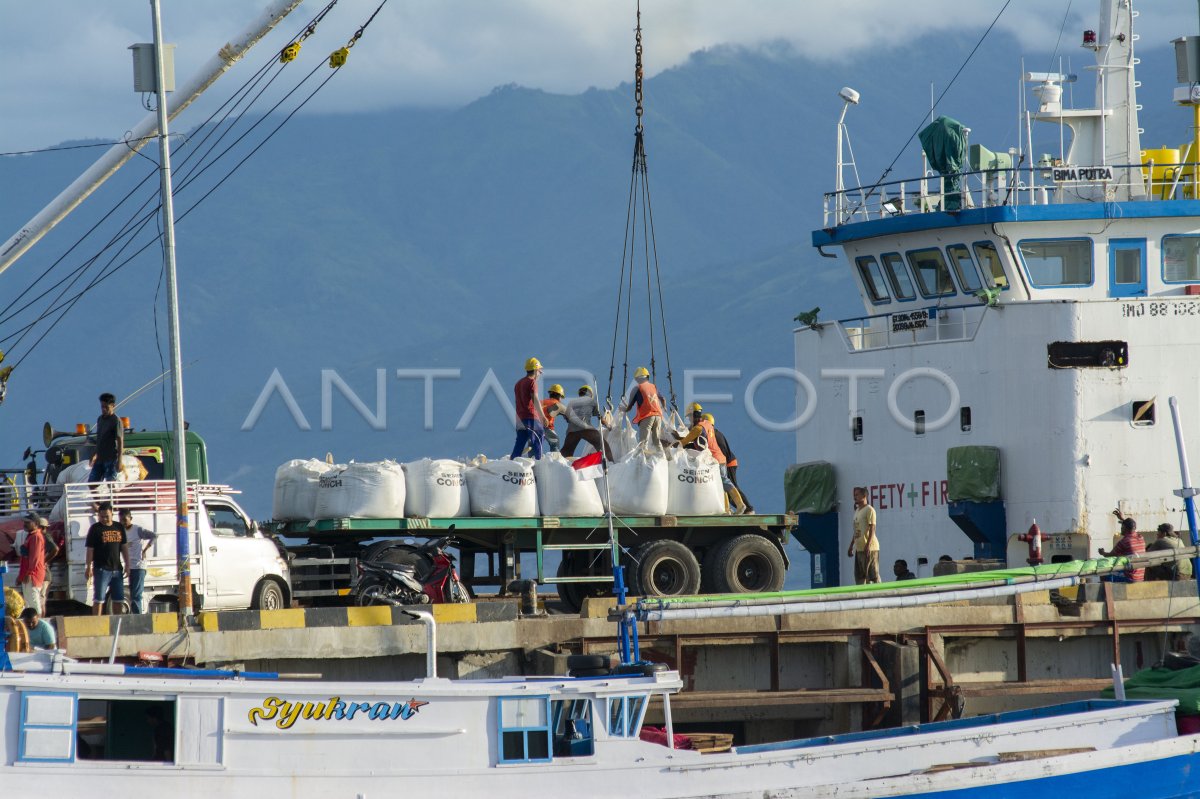 Aktivitas bongkar muat di Pelabuhan Rakyat Donggala