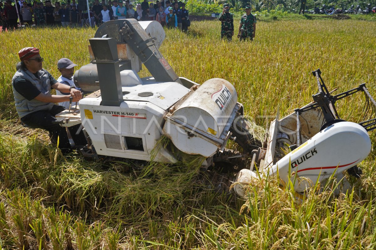 Panen padi serentak di 14 provinsi