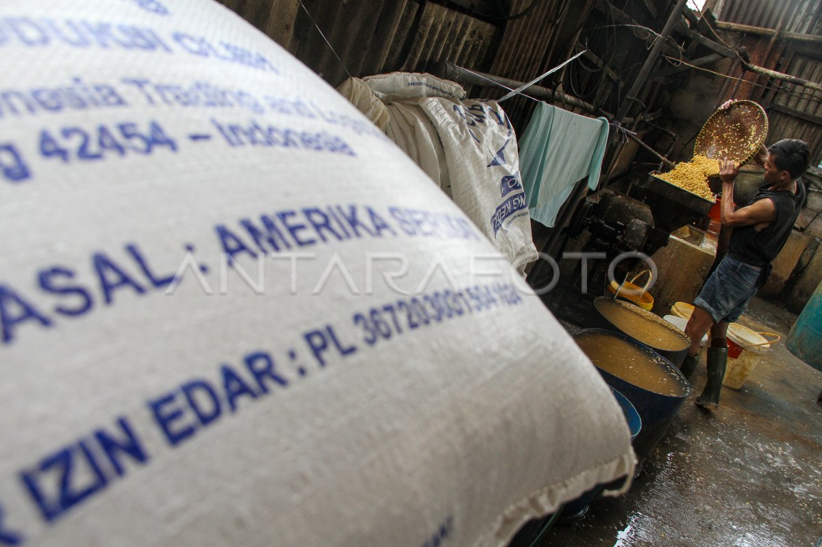 Rencana impor kedelai di Indonesia pada 2025