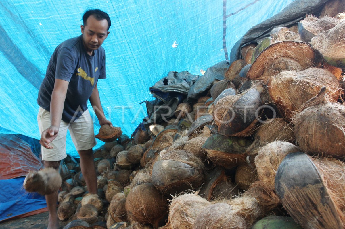 Pasokan kelapa terlambat akibatkan harga melonjak