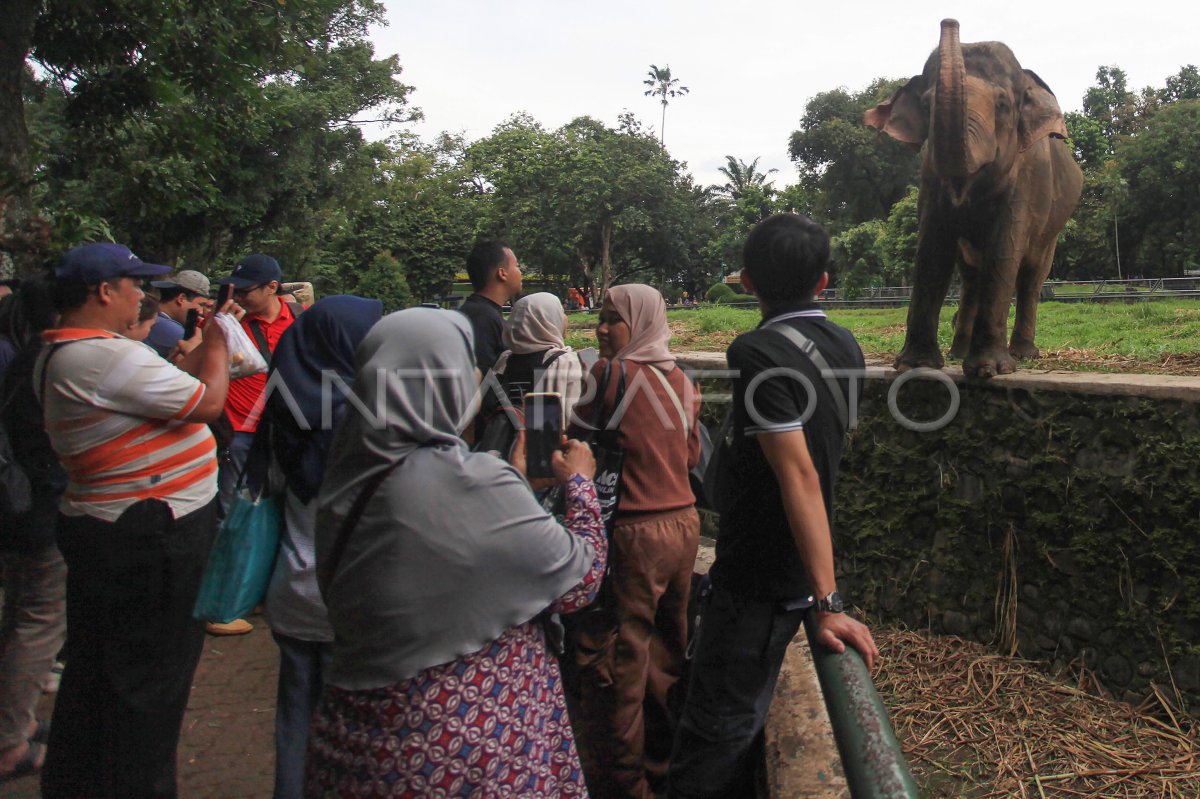 Wisatawan Ragunan meningkat saat libur Paskah