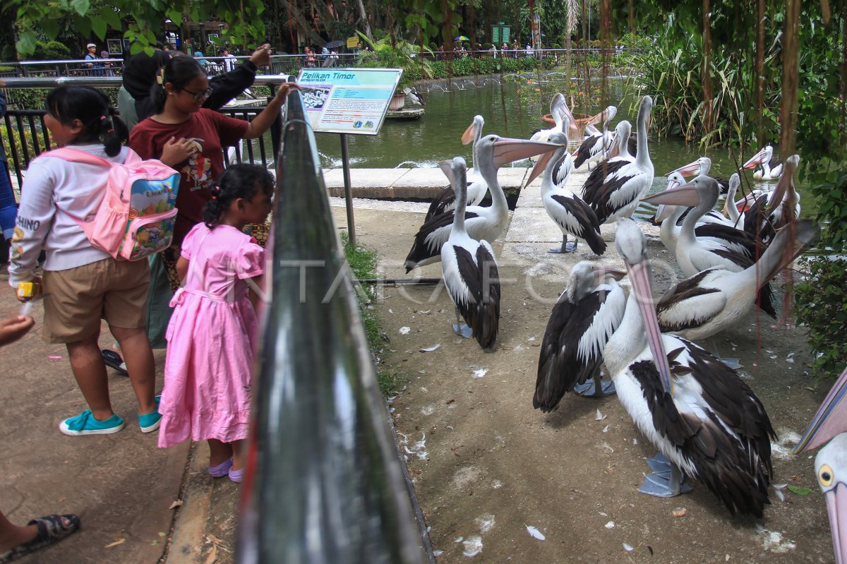 Wisatawan Ragunan meningkat saat libur Paskah