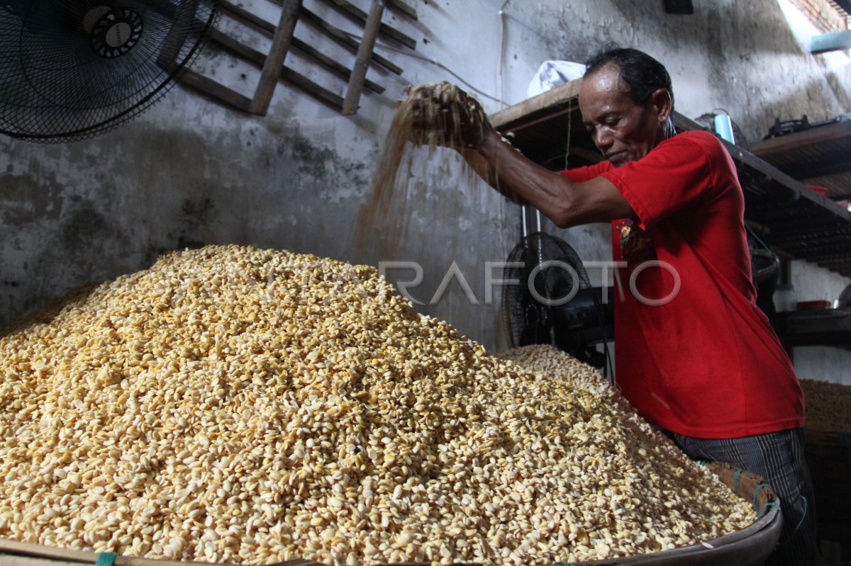 Dampak kenaikan harga kedelai di sentra industri tempe Malang