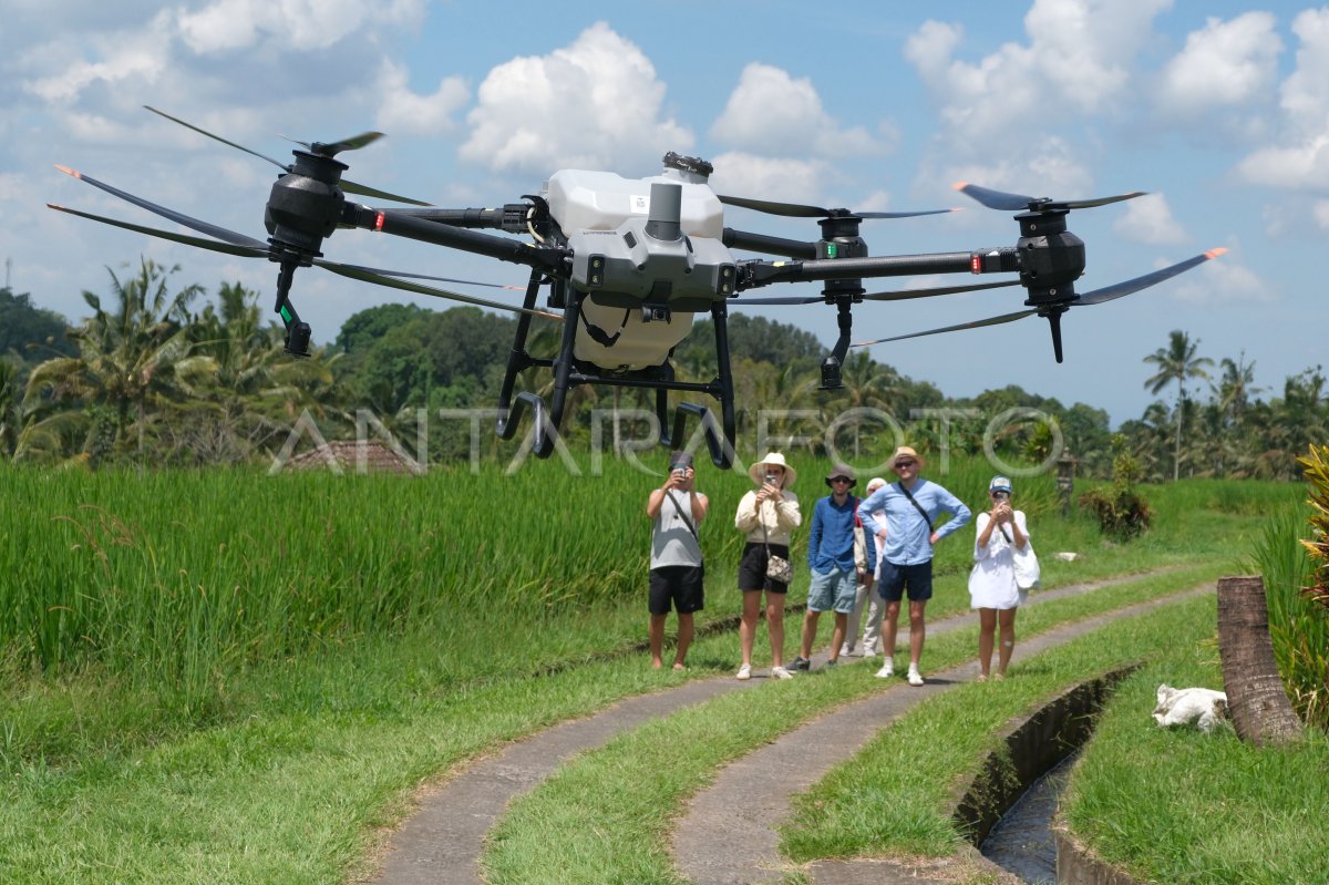 Drone pertanian menjadi daya tarik pariwisata
