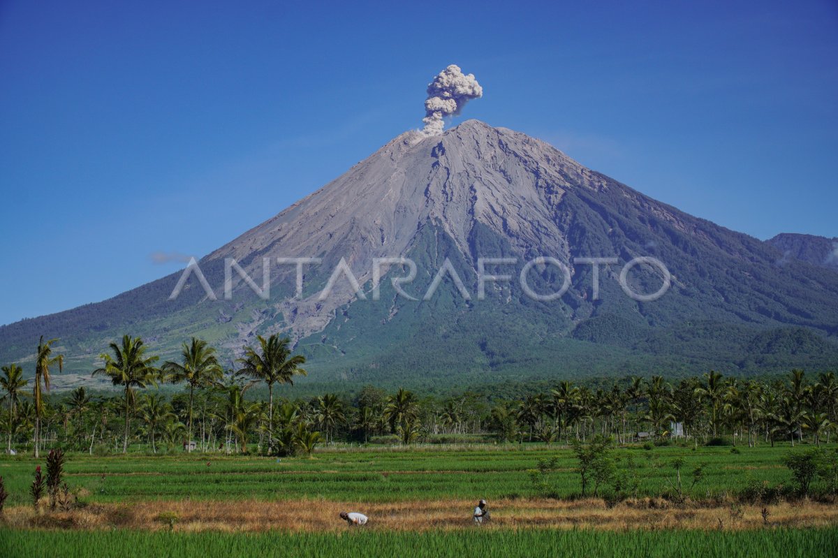 Erupsi Gunung Semeru