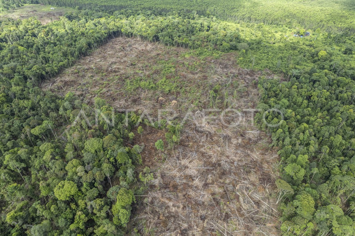 Additions of the Forest Areas of the Divines in Jambi
