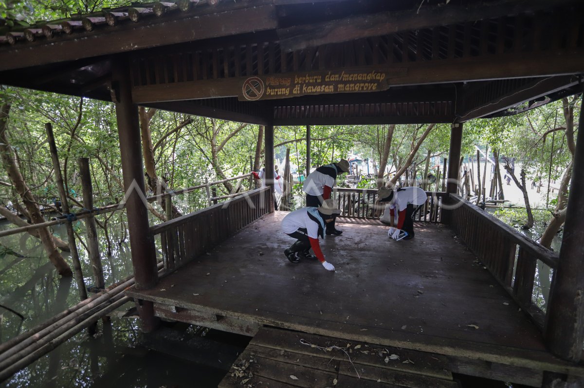 Aksi bersih sampah di hutan mangrove
