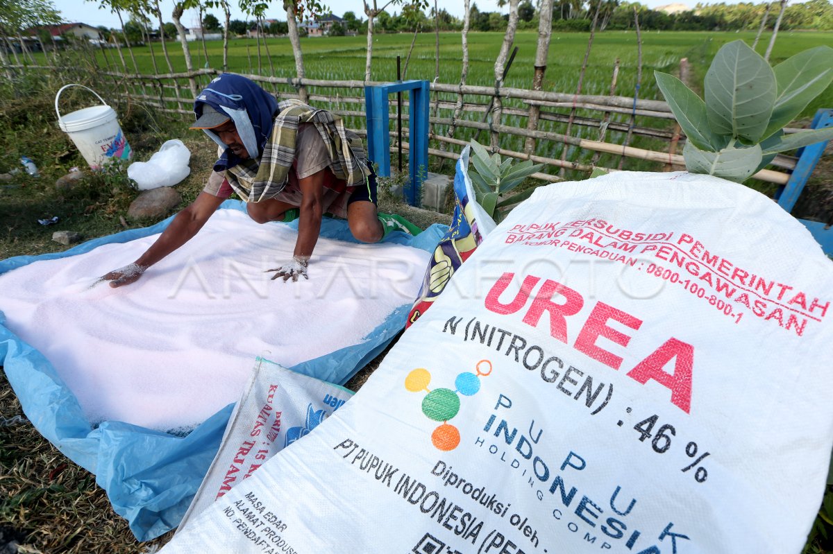 Penyaluran pupuk bersubsidi untuk petani Aceh