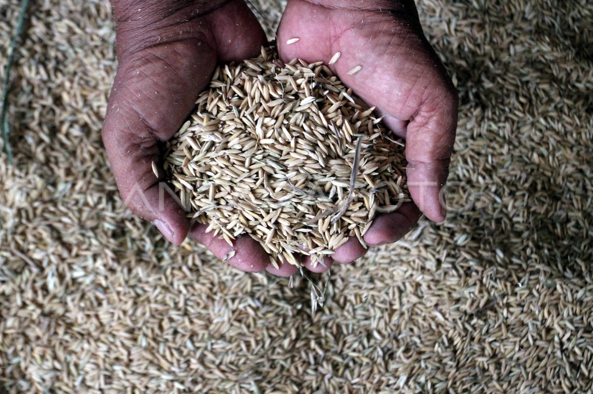 Impact of hike price increase in Ngawi