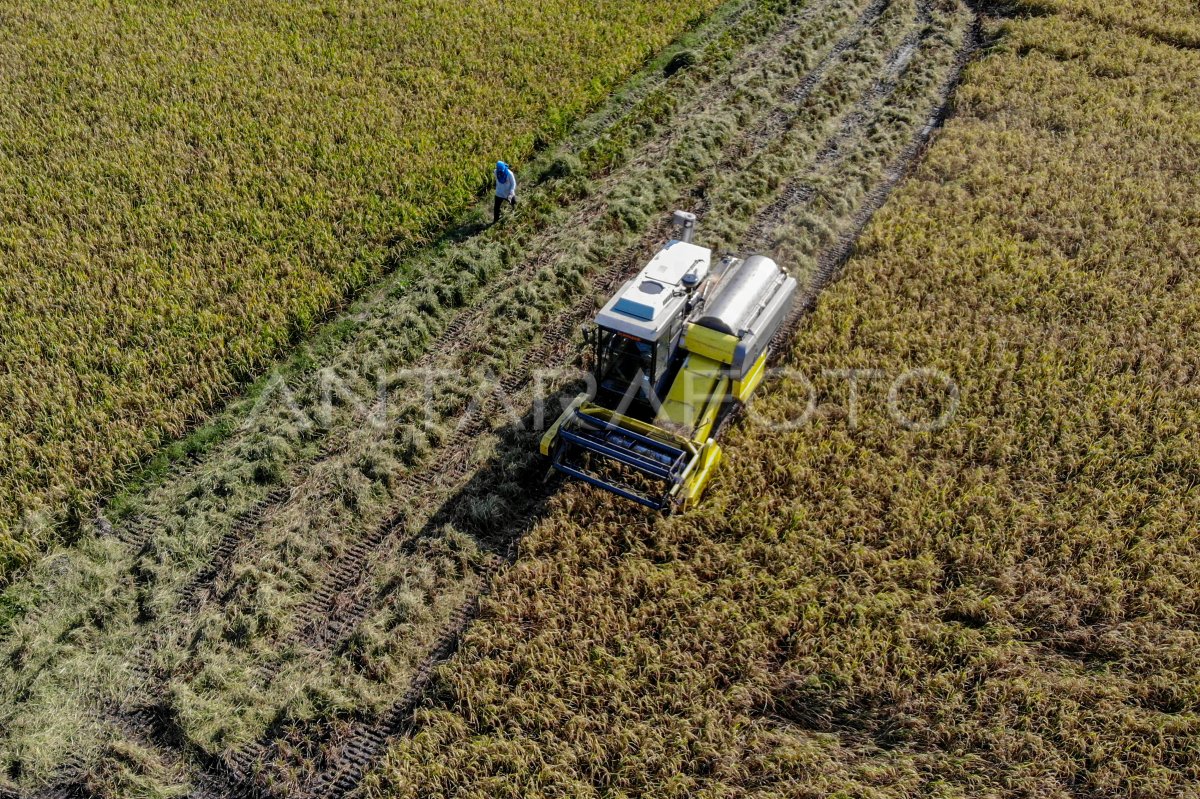Skema pembiayaan Kredit Usaha Alsintan bagi petani