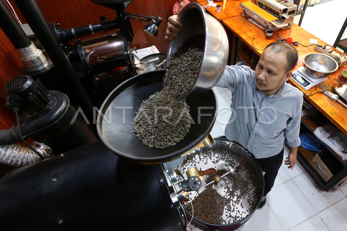 Peningkatan produksi kopi arabika Gayo