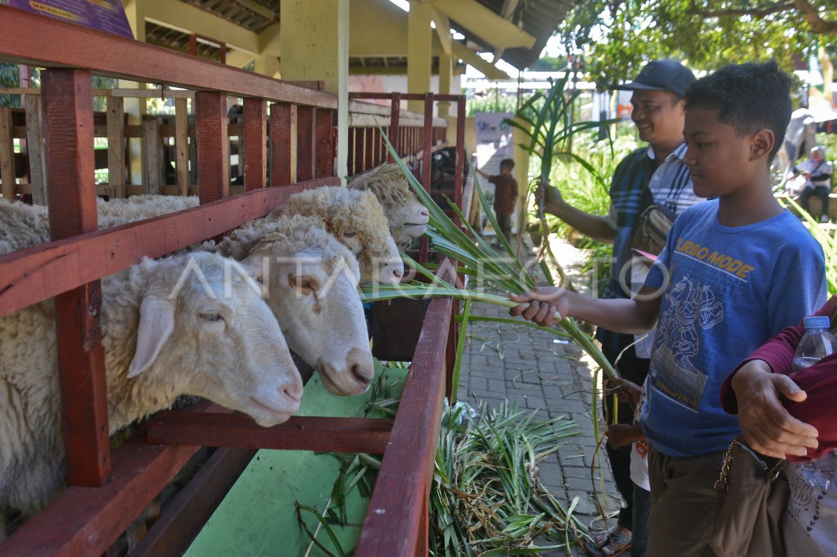 Pekan Agro Digital dan Inovasi 2025