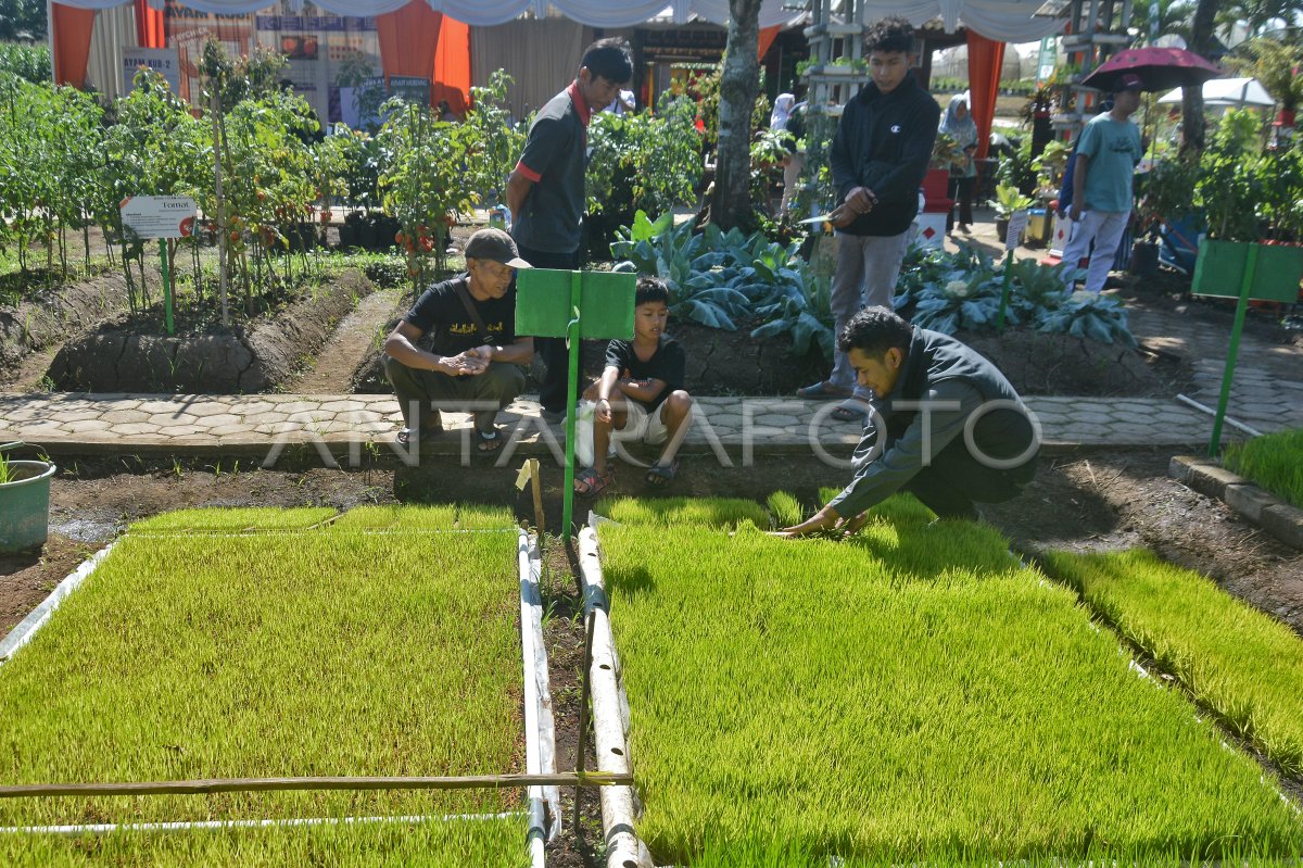 Pekan Agro Digital dan Inovasi 2025